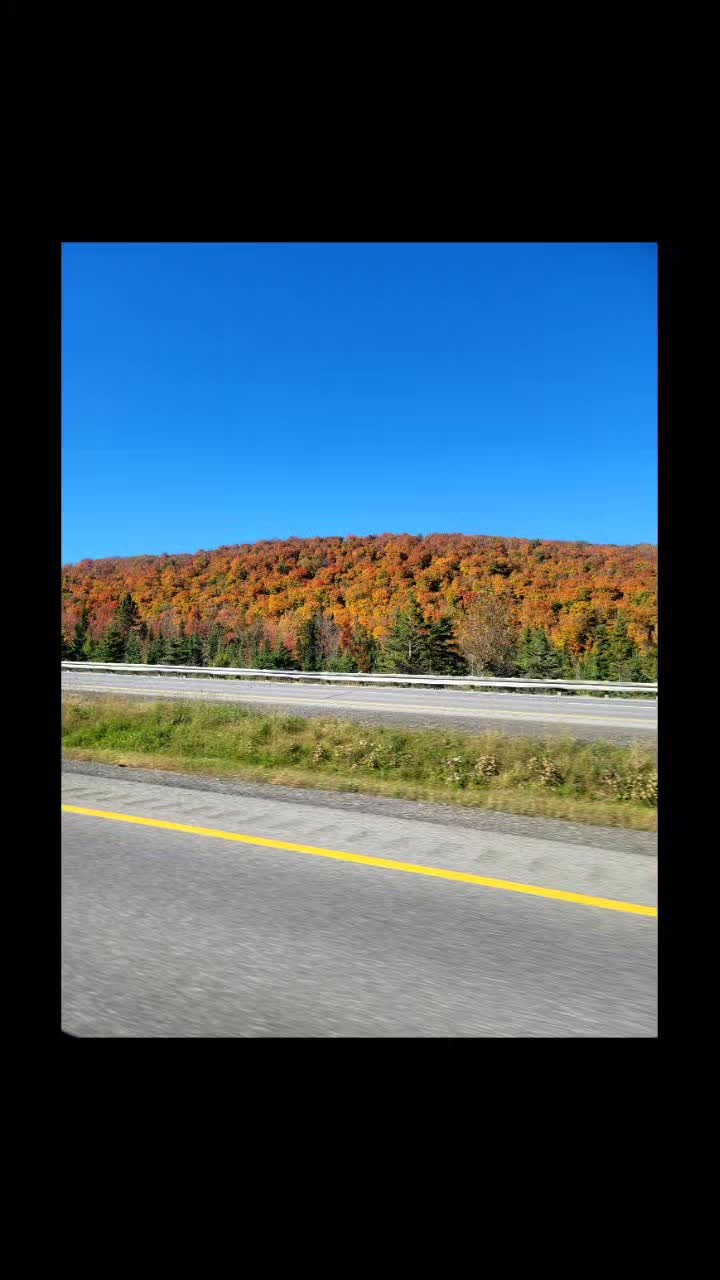 @STAR CAN 🇨🇦