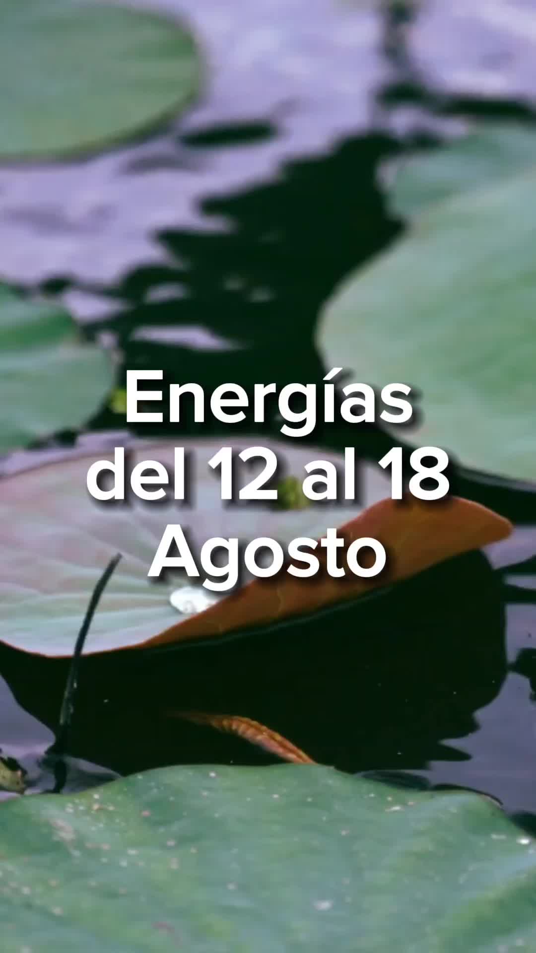 @numerosescenciales