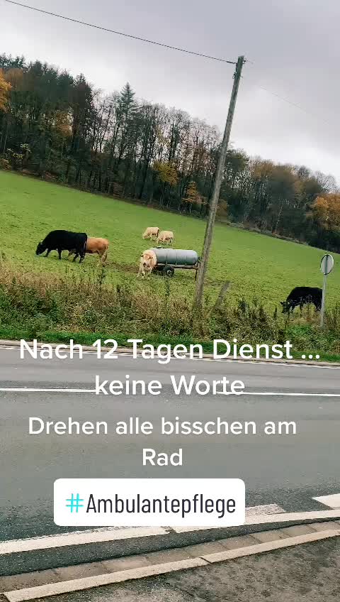 @Pfld. Pflegeleicht NRW GmbH