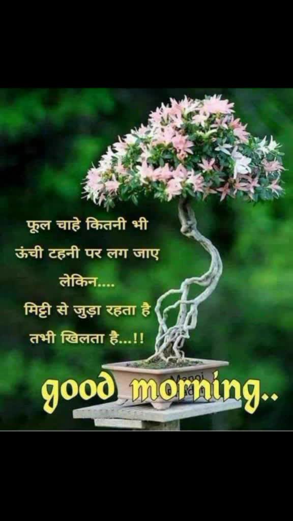 @laxmi mishra