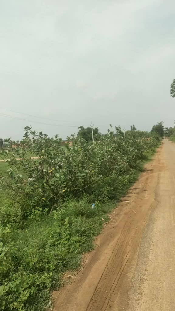 @ponduru rambabu