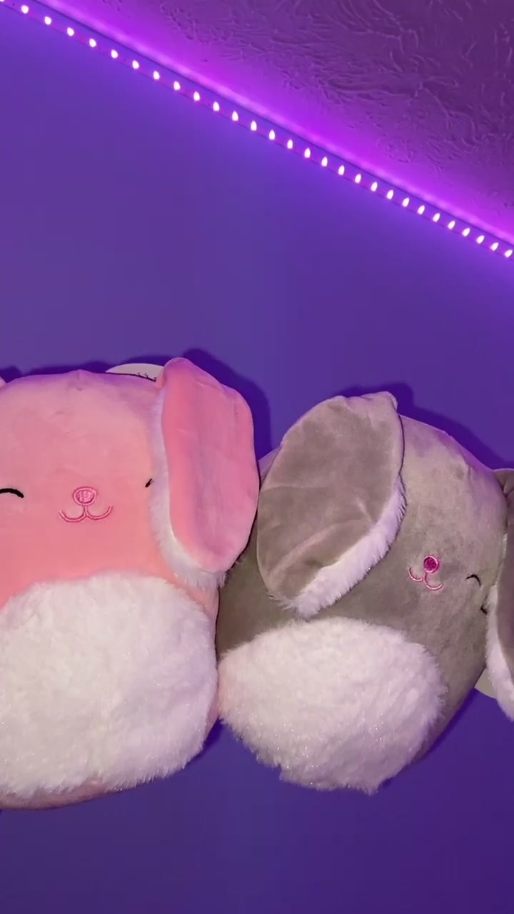 @<3 squishmallows <3