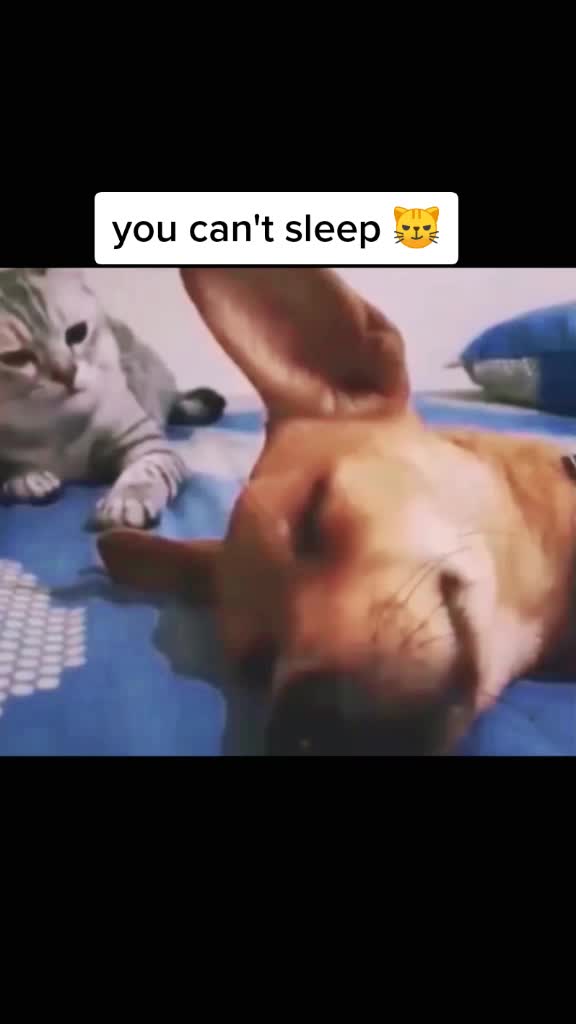 @user87357065893