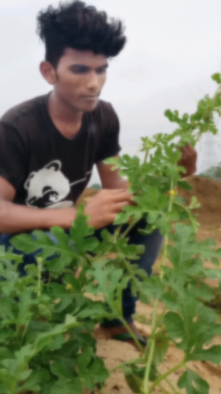 @user79867237914