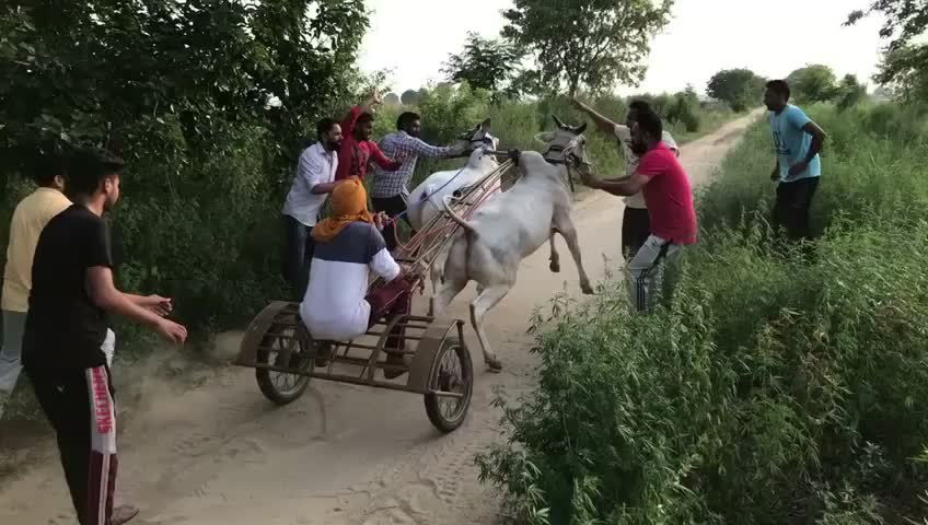 @Aman Benipal