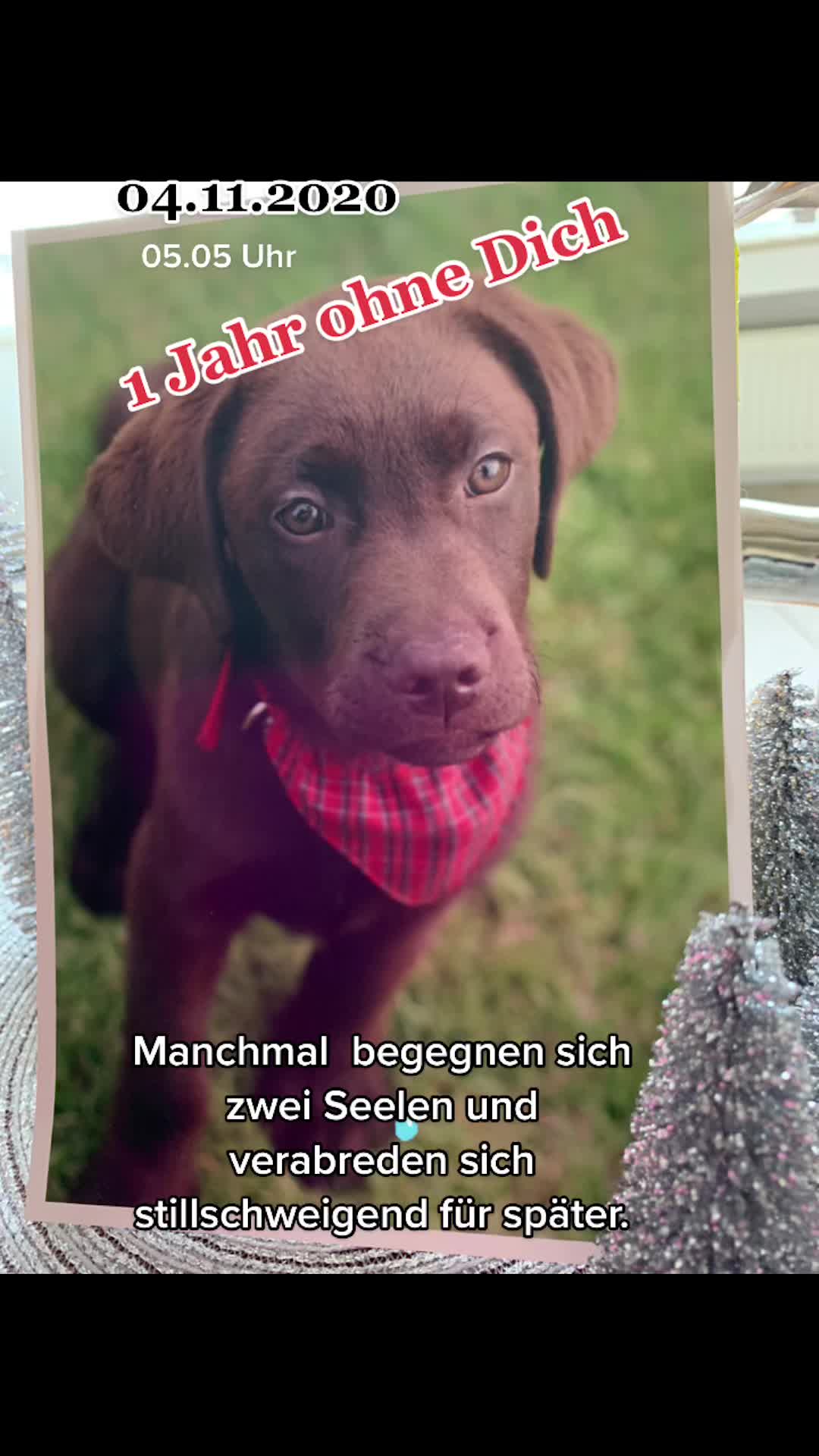 @Metzi 🇩🇪