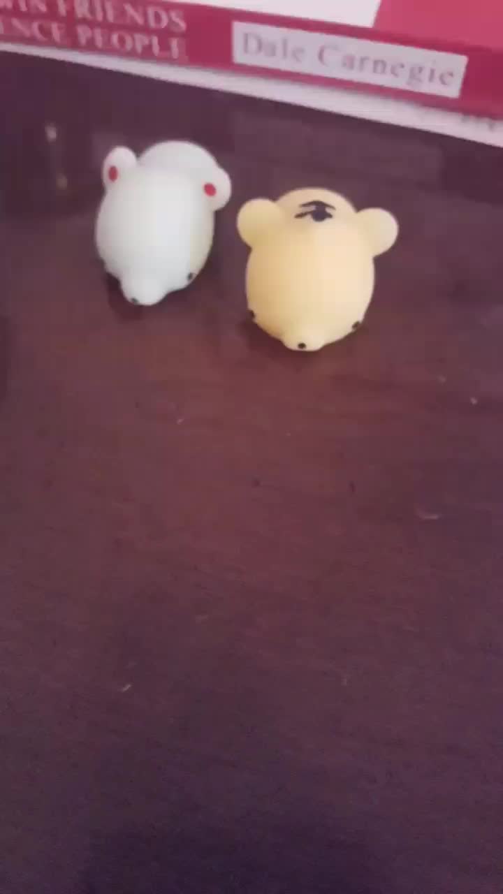@Mochi Animals