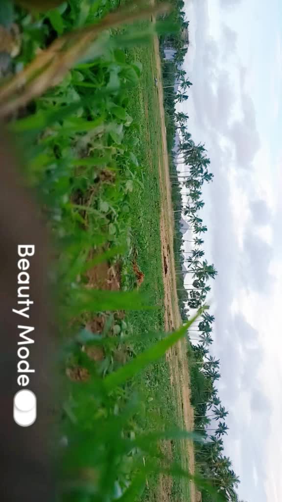 @R&atilde;j&ecirc;sh L&ecirc;&oslash;