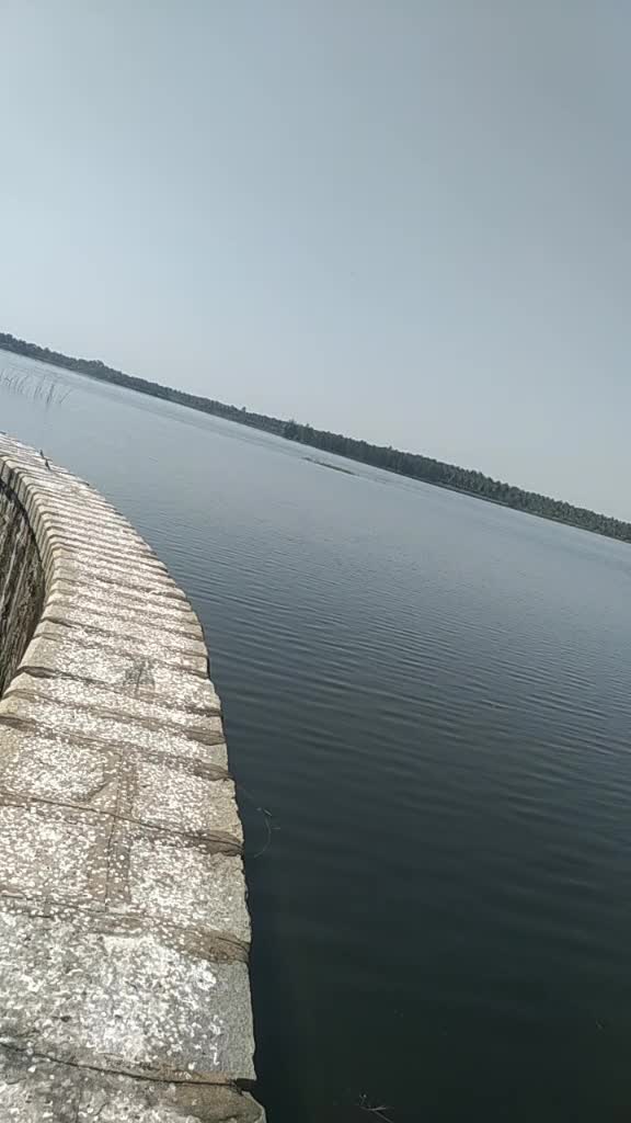 @ರೋಸ್ಮೇರಿ ಎನ್ ಎಸ್ 🌹