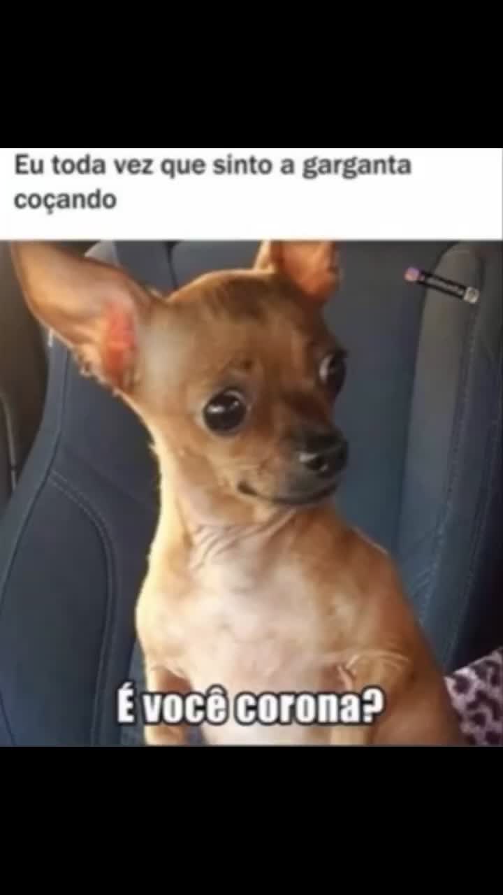 @Memes_e_slakkjk