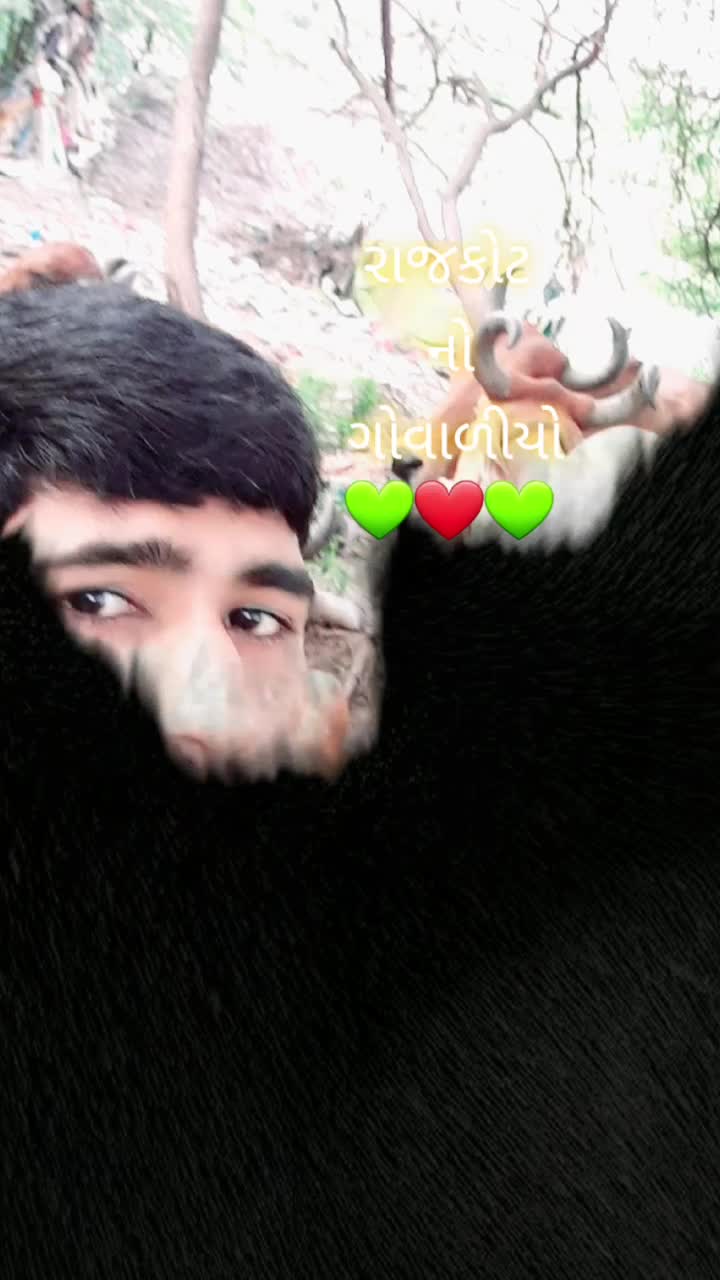@Shayar Mundhva