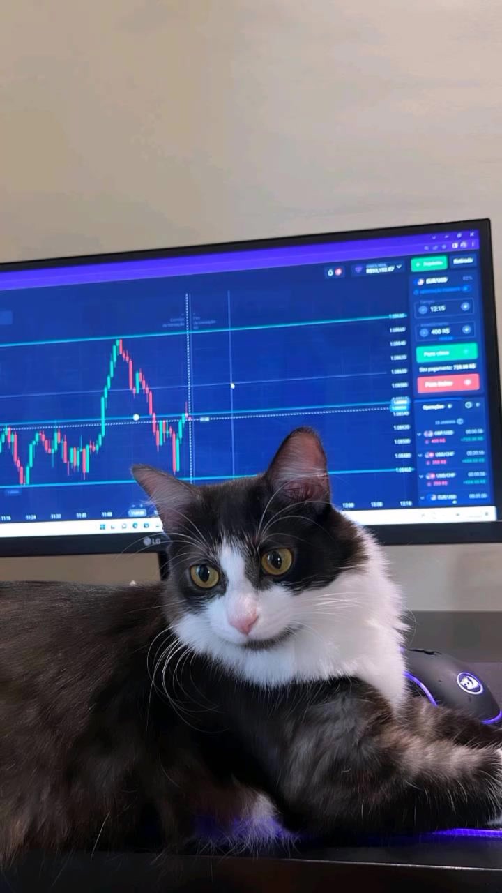 @Roberta | Crypto | Trader 📈