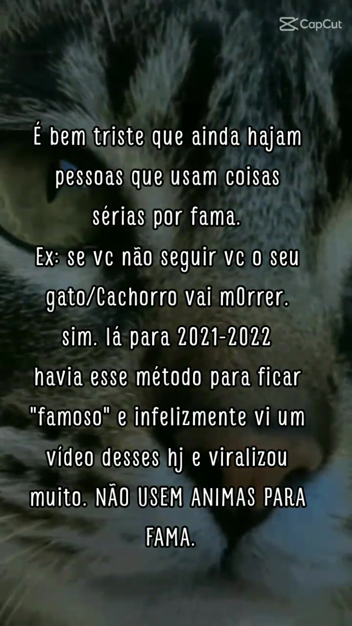 @Ozzy o gato