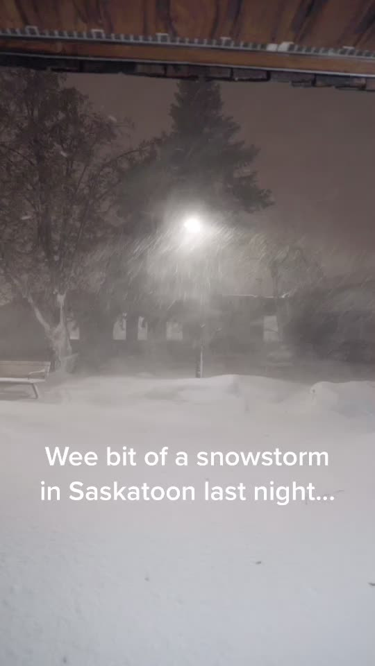 @tiktok