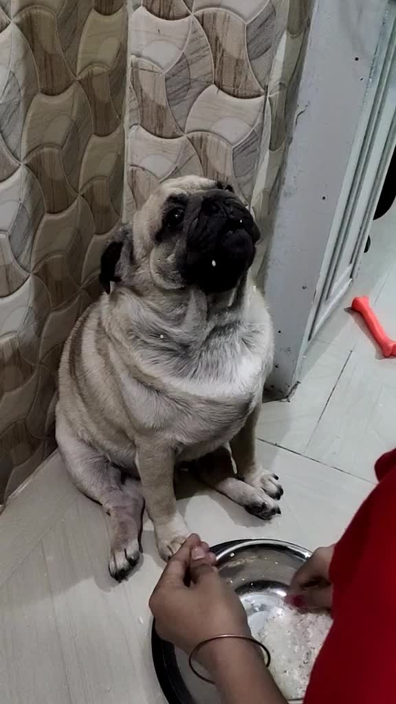 @Pankaj Kumar