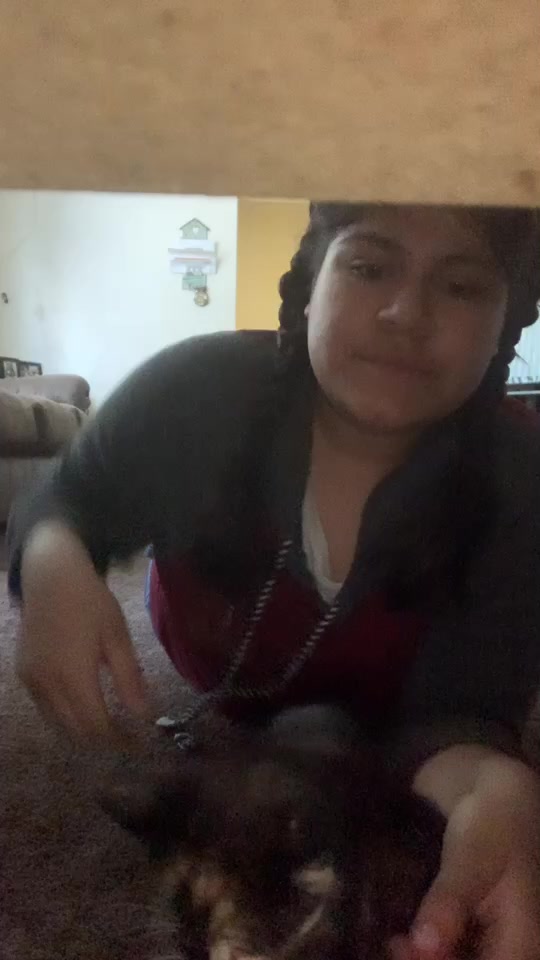 @Lunapuppy🐶