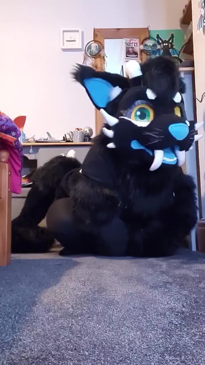 @Kittypantherlion100