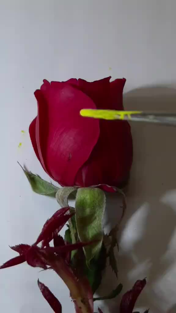 @user05078048396