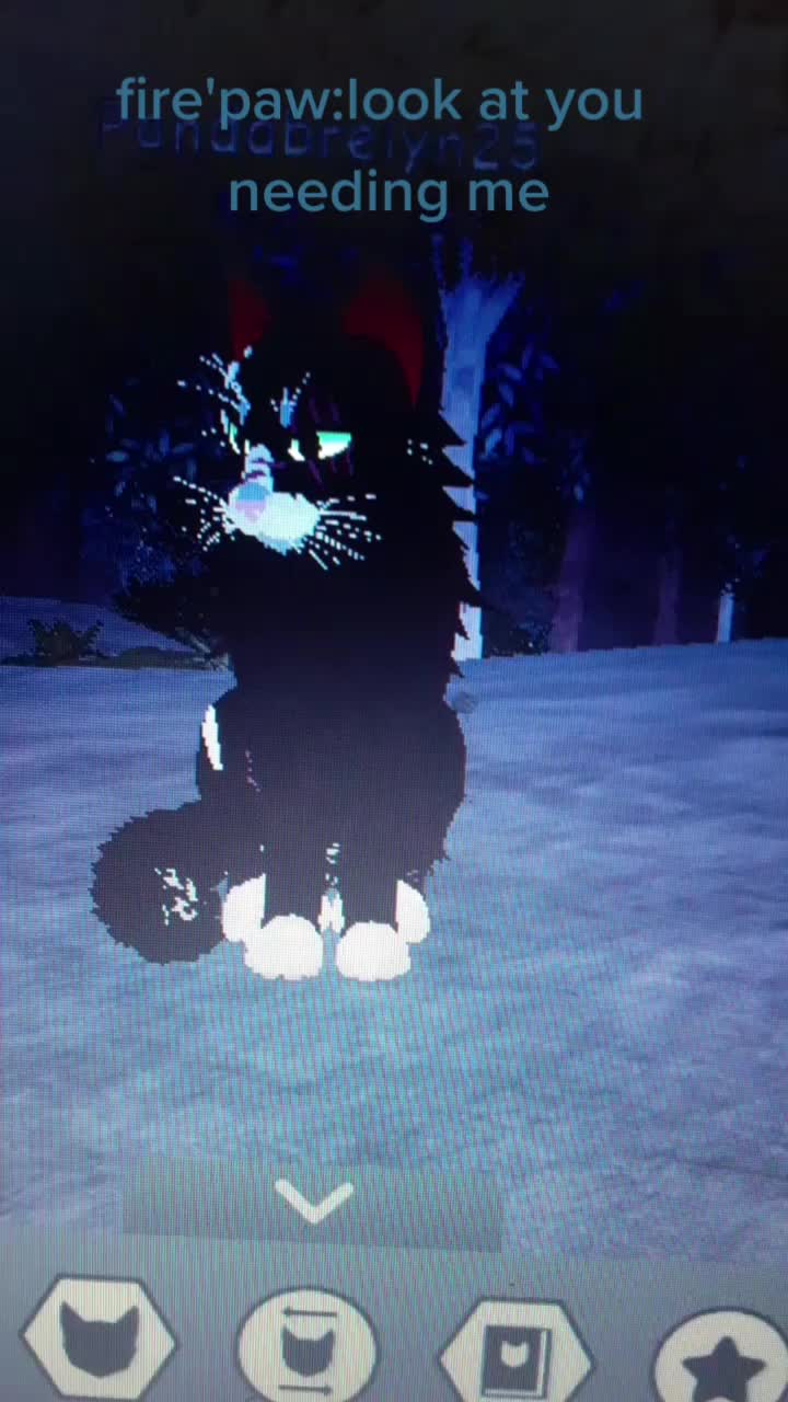 @warrior cats