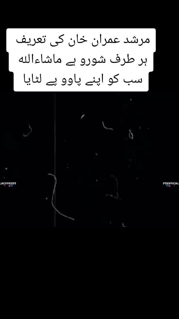 @Pti Tigers