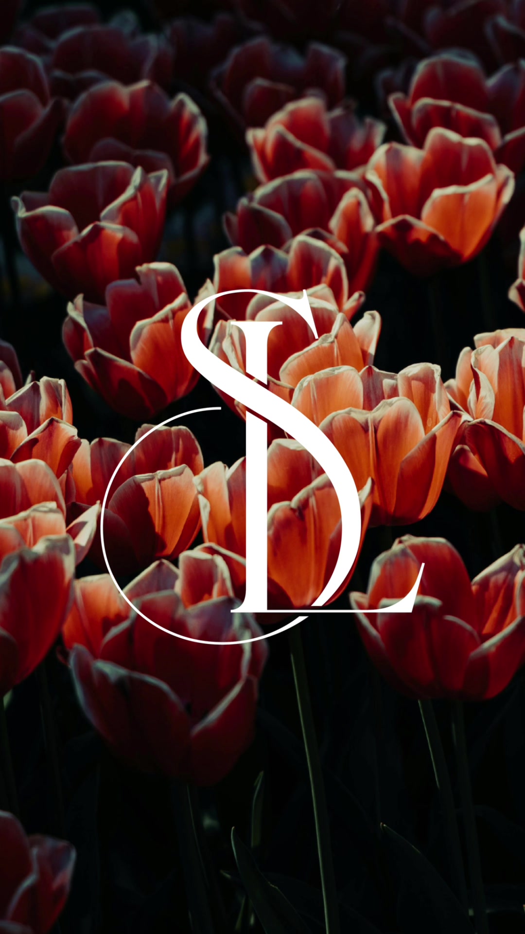 @annalisalunardi_design