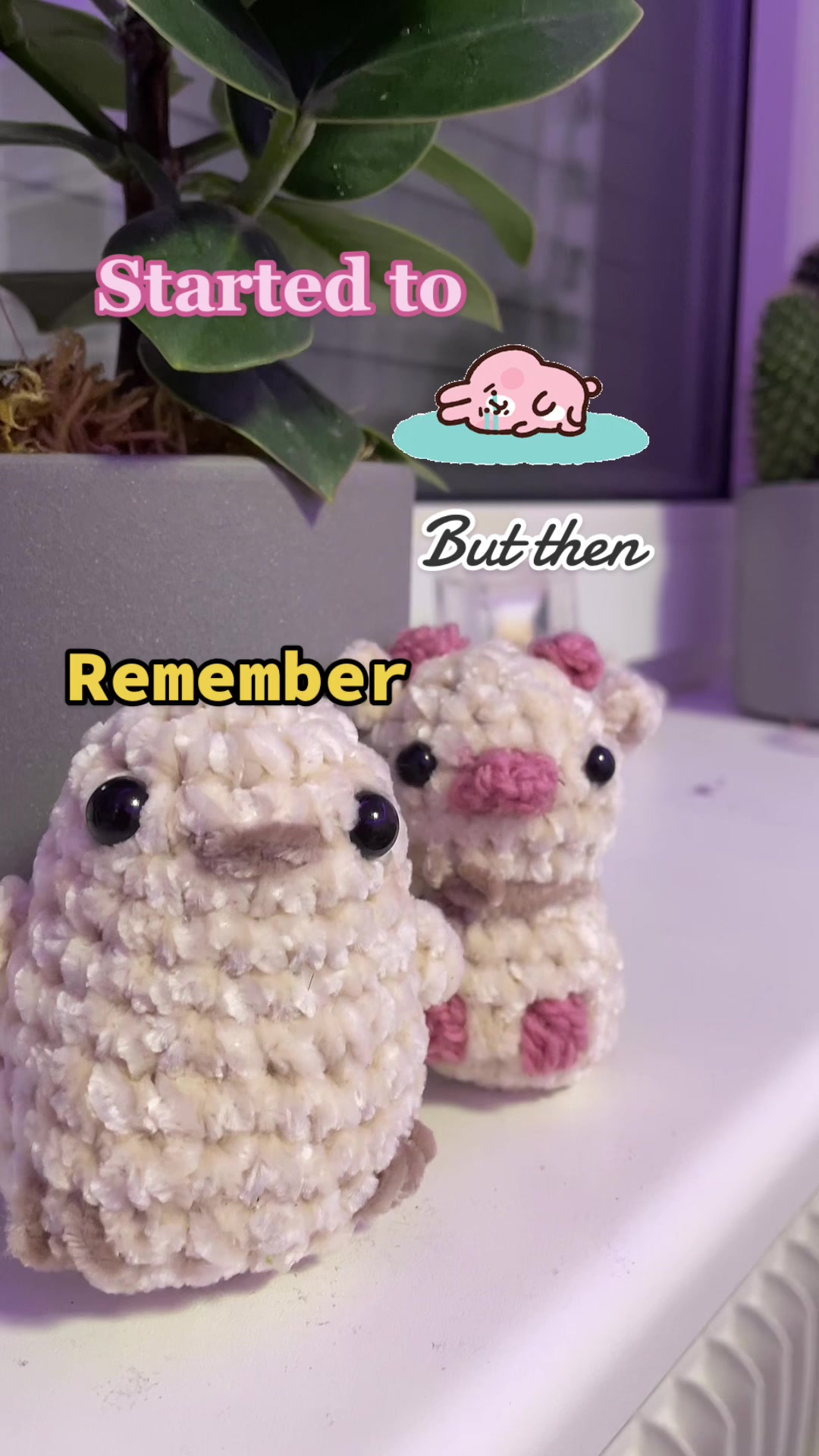 @🍃Crocheting💌