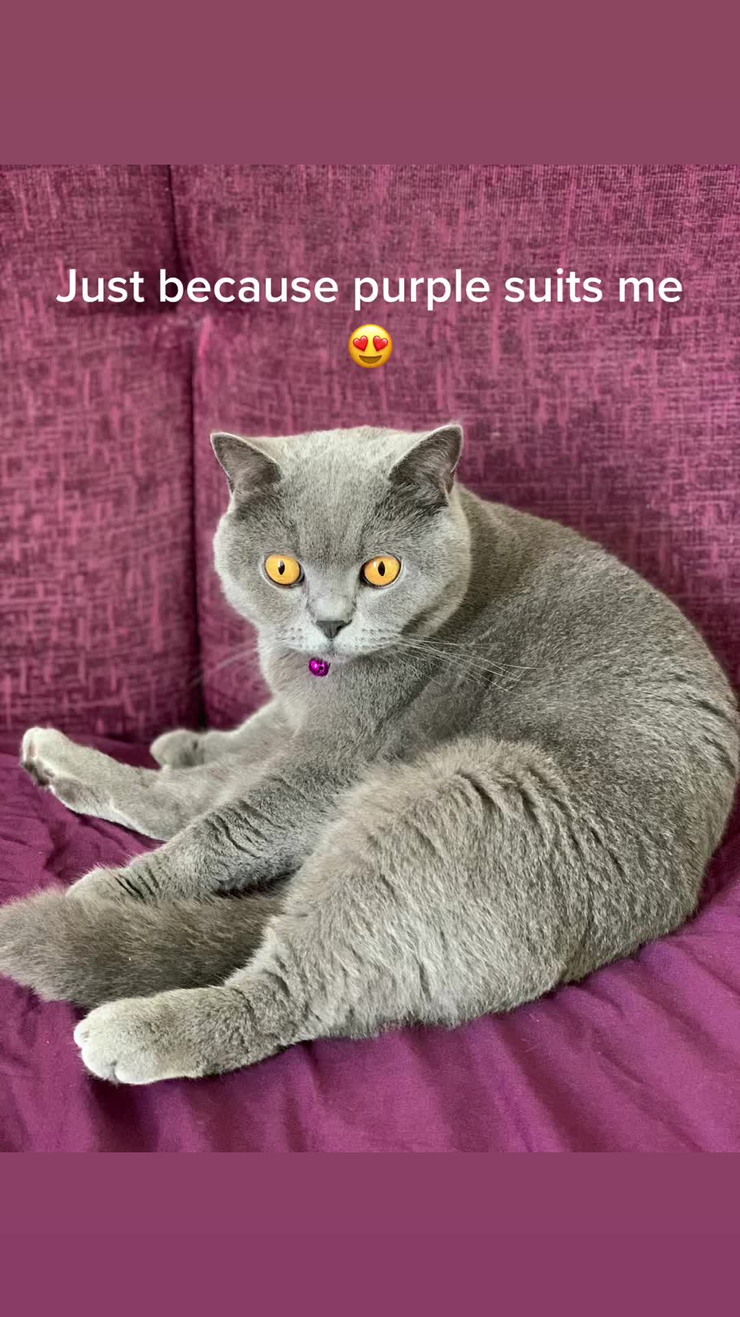 @Elena