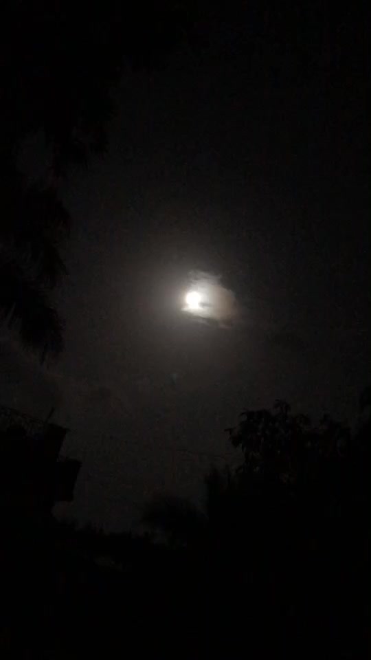 @mr_sachin_ss_0617