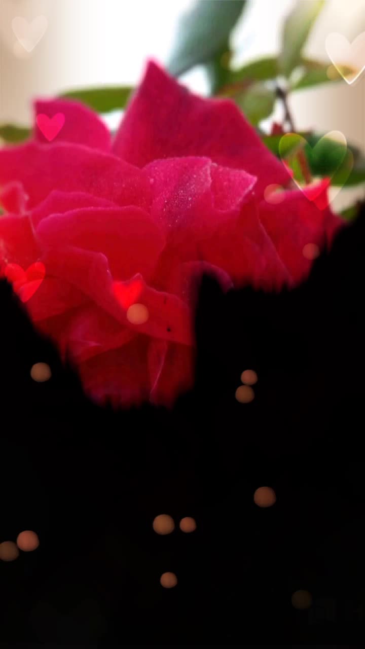 @Pawan Singh