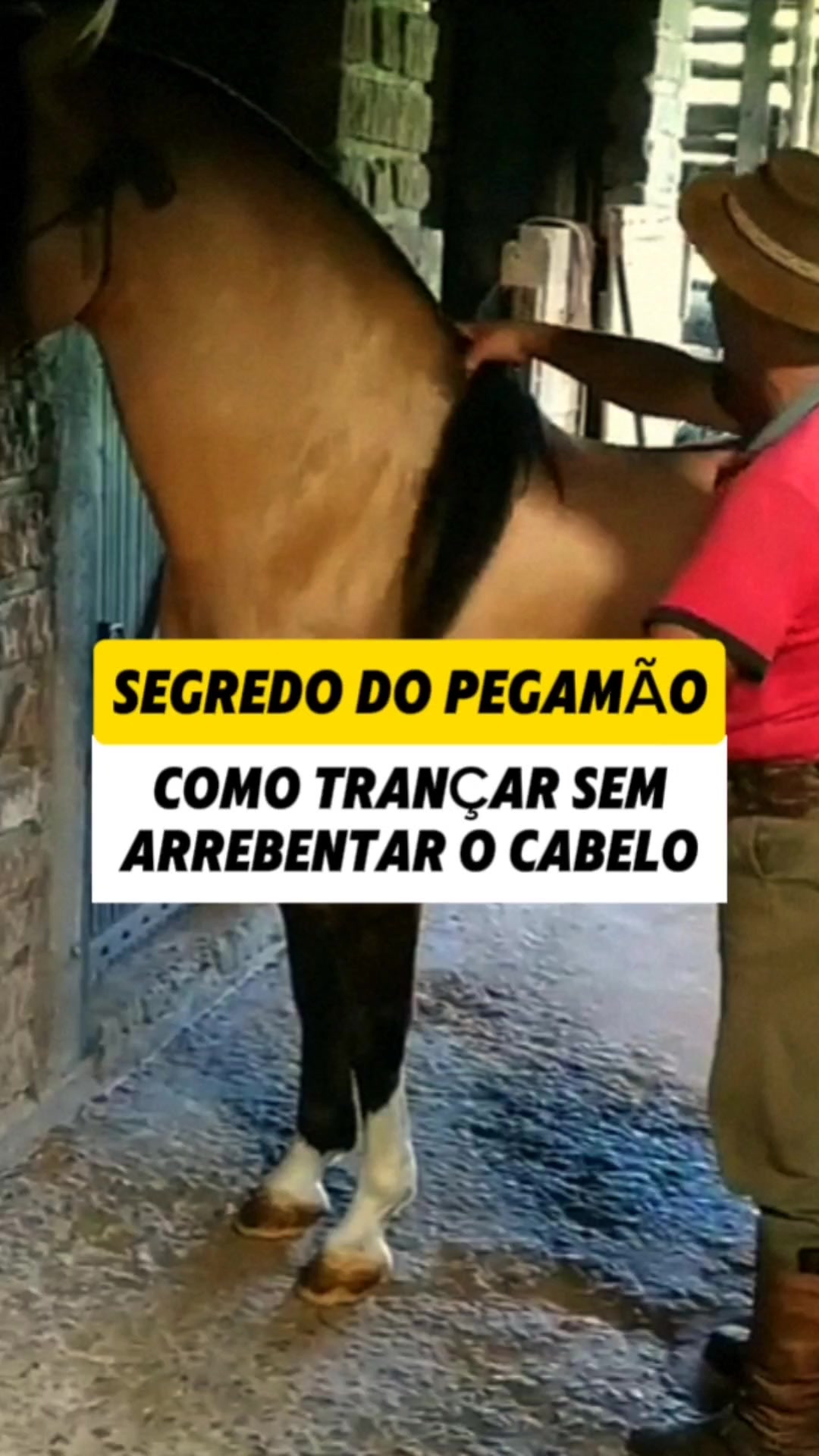 @João Antônio Rupp