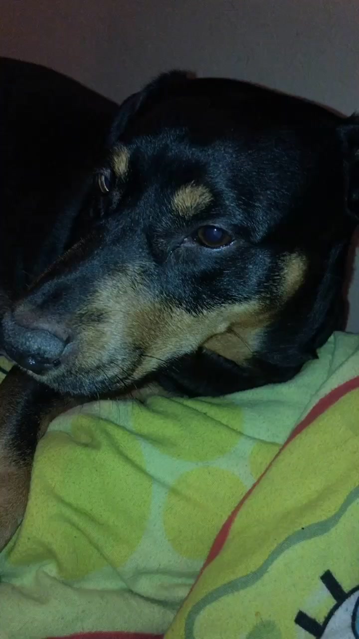 @🐶💋Ronni💋🐶