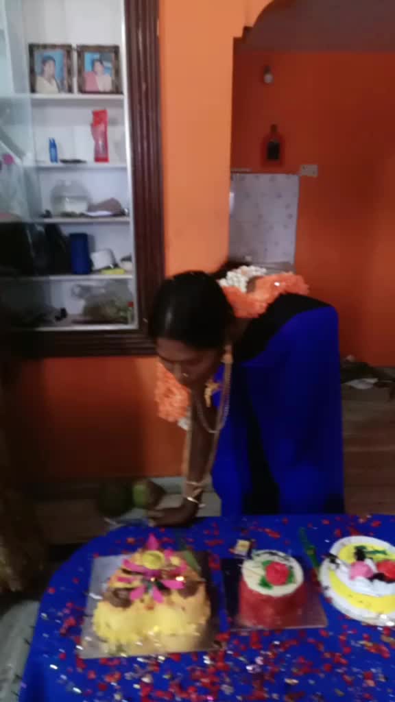 @Sanvi Joseph