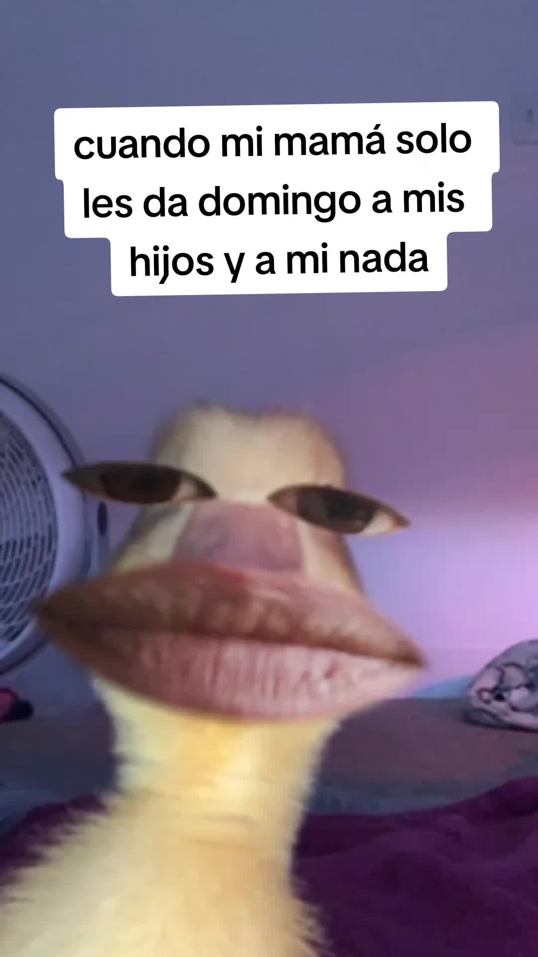 @Kellen Ramírez