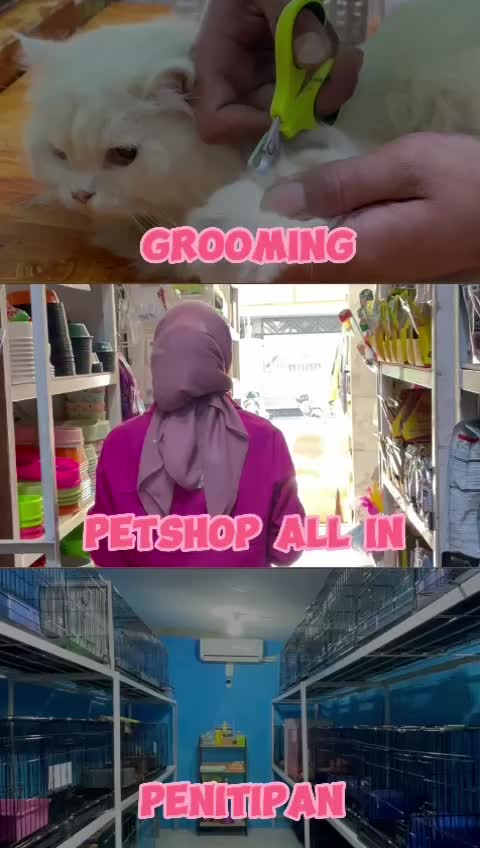 @Vdb petshop