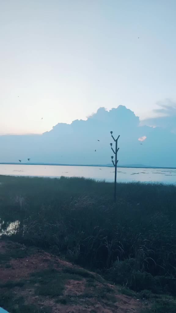 @satyasivaswaroop