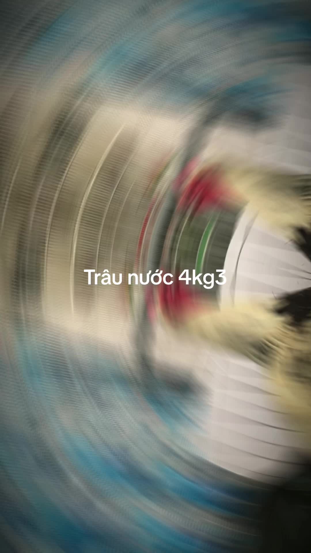 @Gà Mỹ Đỗ Đạt