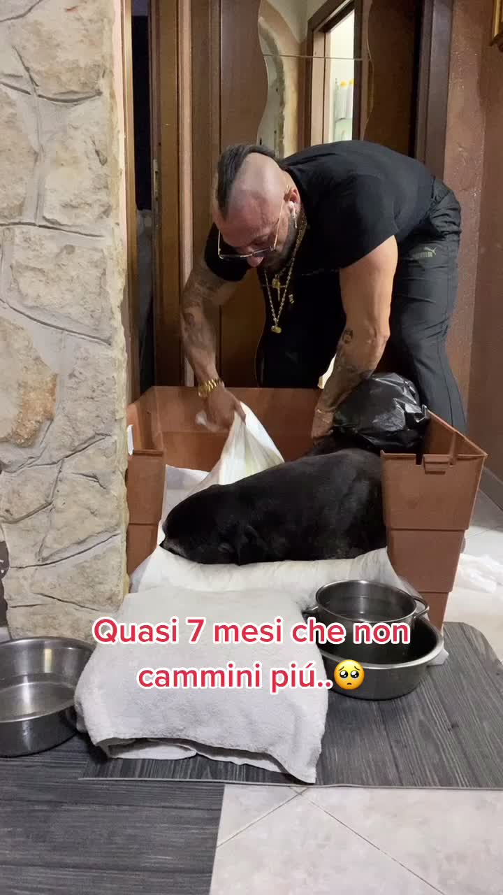 @AGO-AGOZZINO ALFREDO OFFICIAL