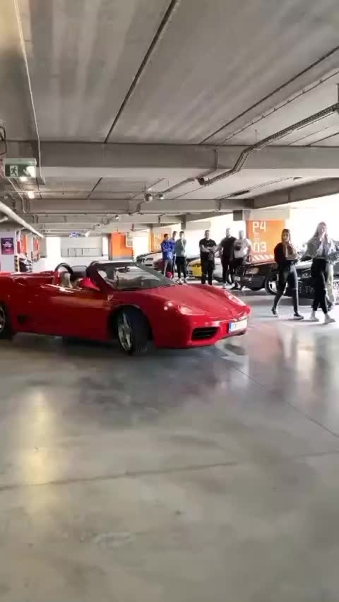 @car.spotted,sd