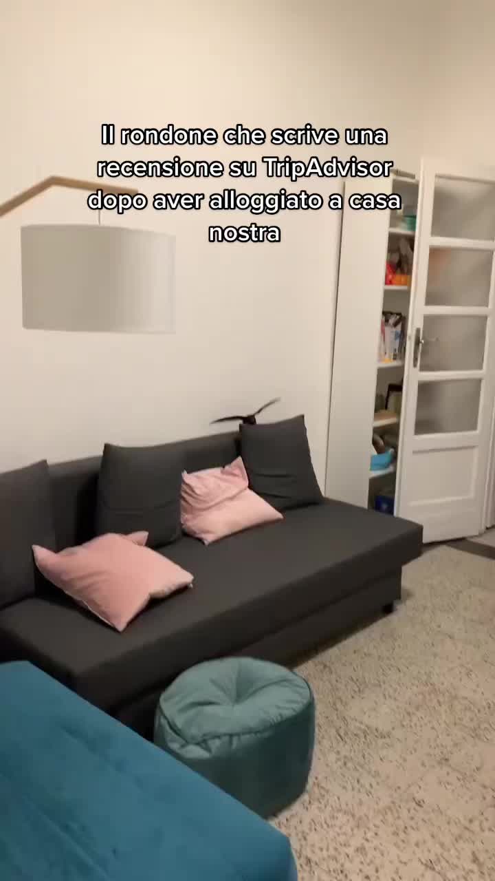 @Bri 🧿
