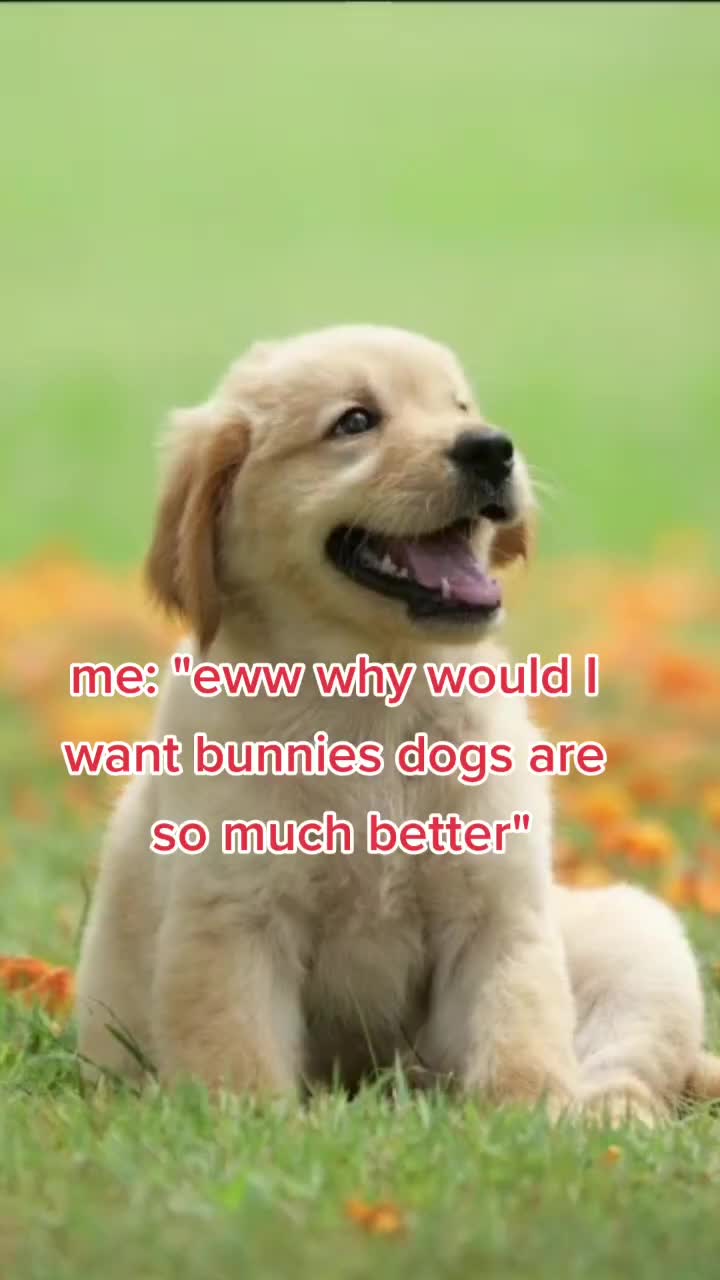@Leo and Sarah 🐰🐰