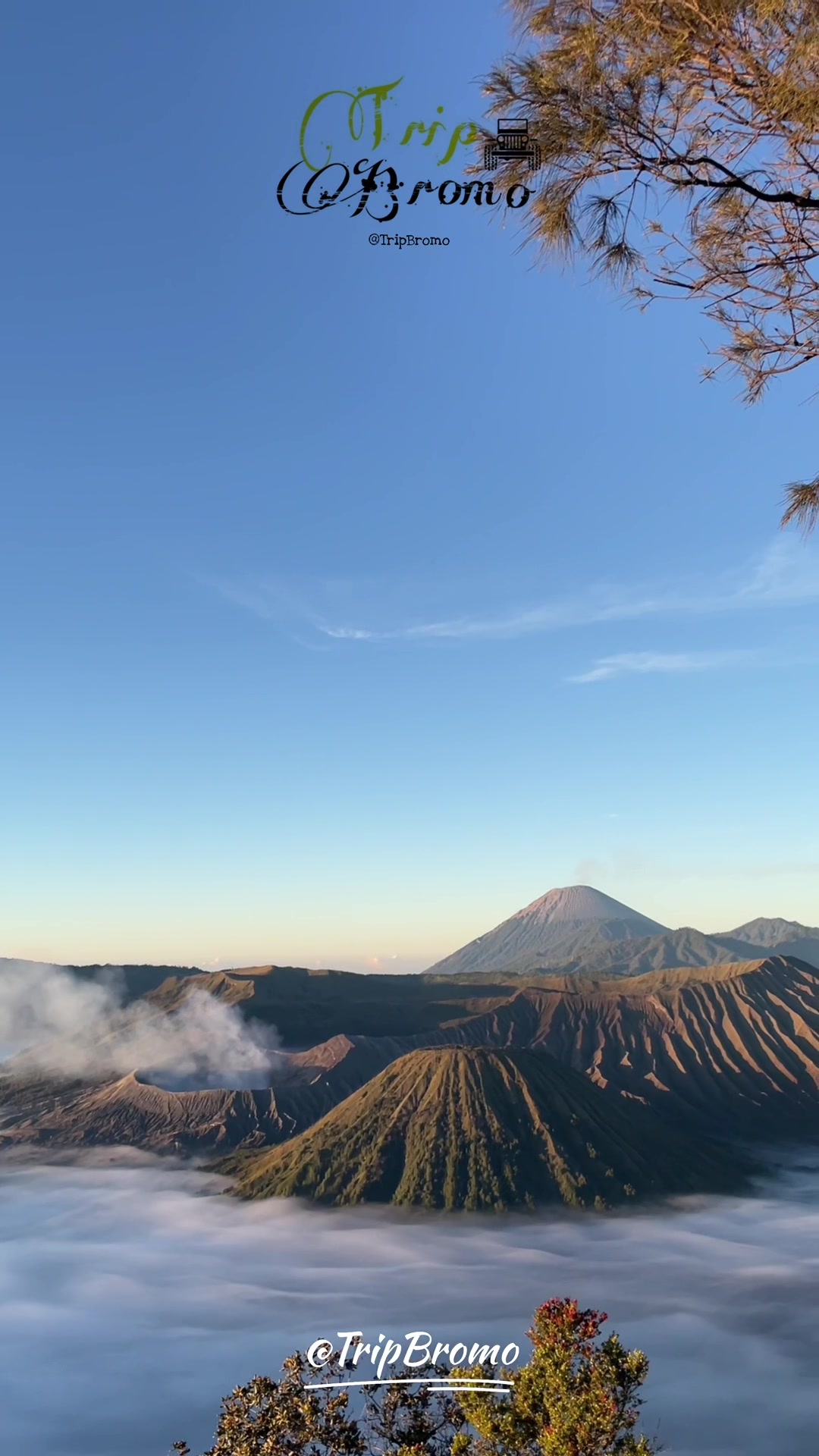 @Trip Bromo