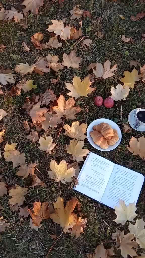 @Svetka