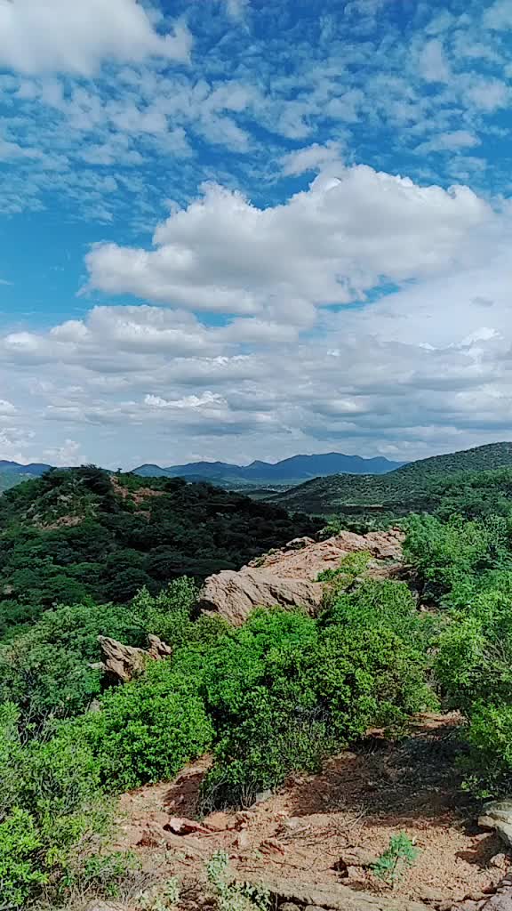 @சின்னப்பூவன்  பூ  வி