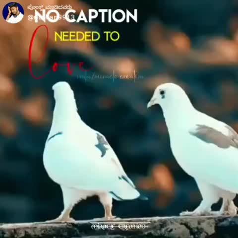 @BhimuNayak