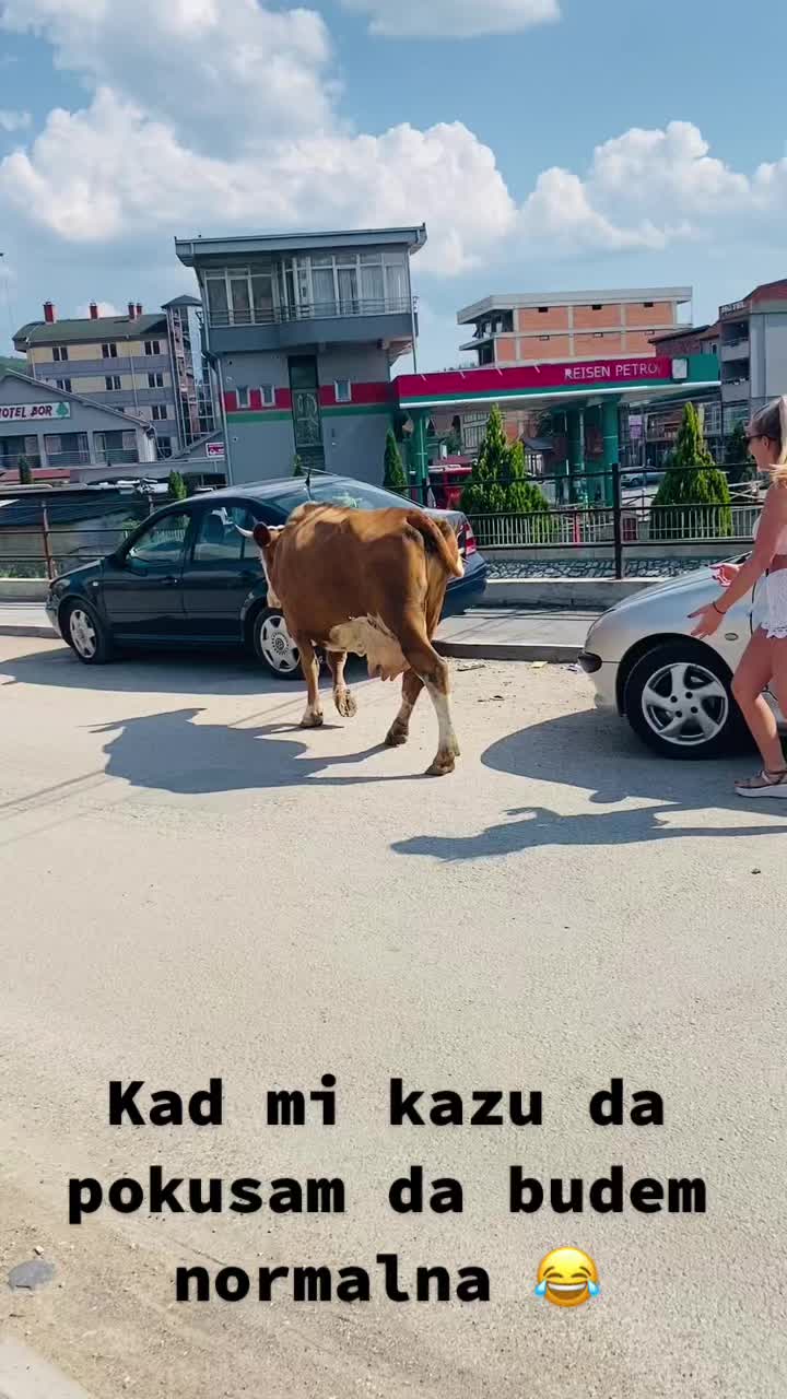 @KatarinaSofronic