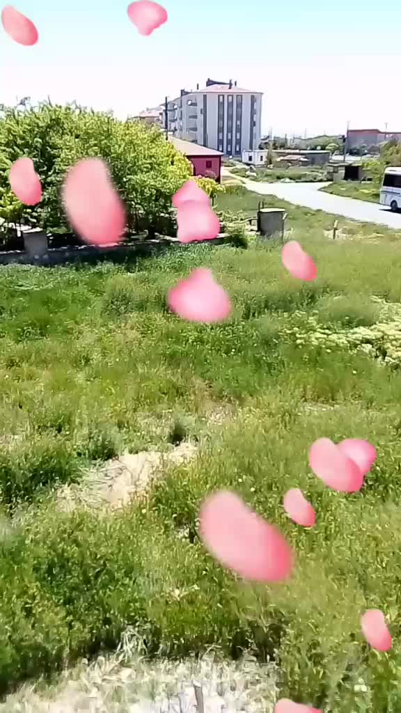 @Emoş