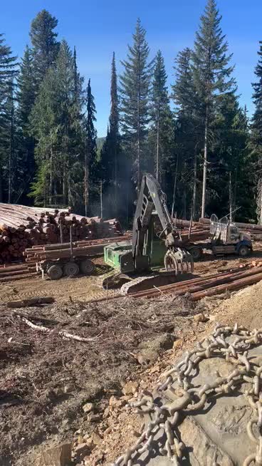 @ltslogging