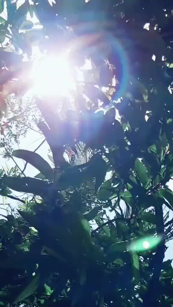 @𝕯𝖗.𝕬𝖗𝖒𝖆𝖆𝖓