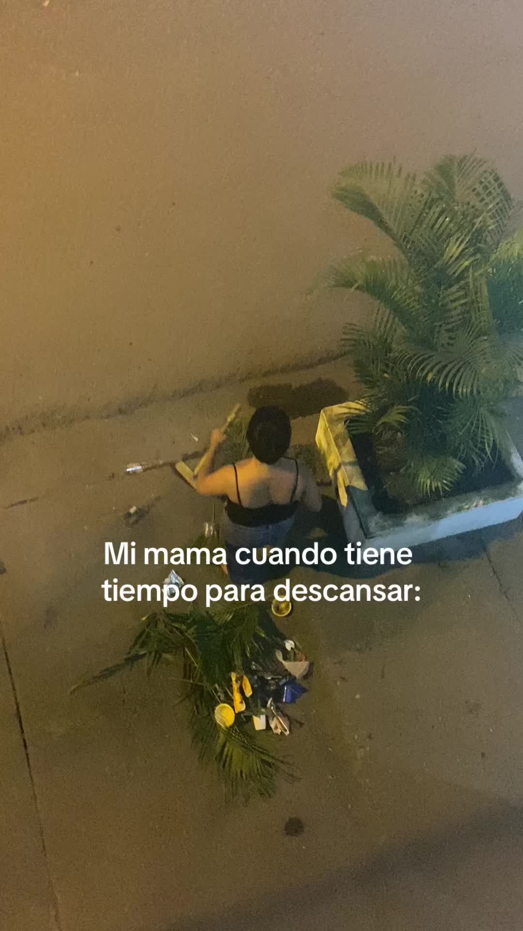 @lis