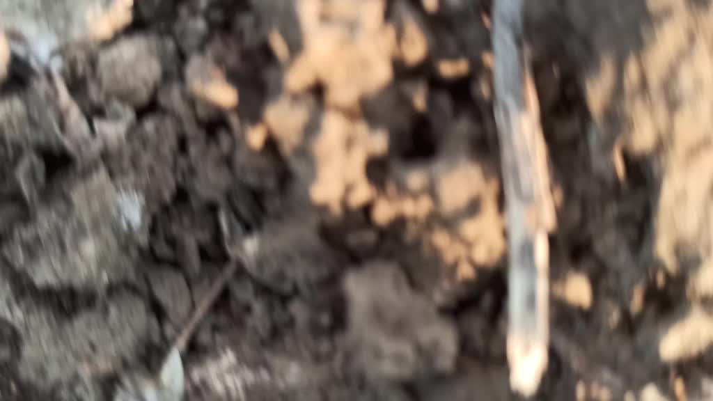 @दिपक सावंत पाटील..